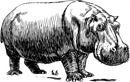 hipopótamo clip art