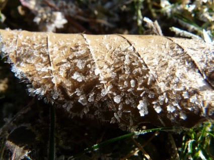 霜の霜 eiskristalle
