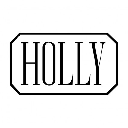 công ty cổ phần Holly