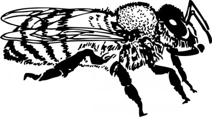 Honey bee clipart