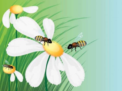 Honig Bienen Blumen Hintergrund