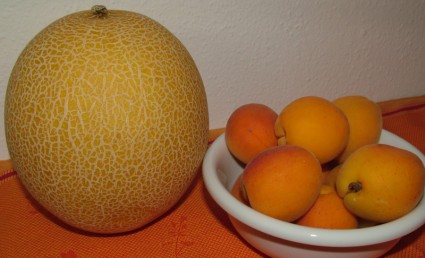Honigtau Melone und Aprikosen