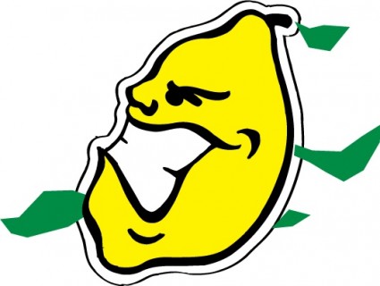 Profil hooch lemon