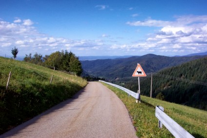 Horben Jerman road