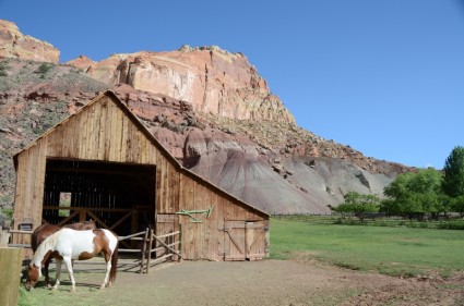 Horse Barn Capitol Reef National Park