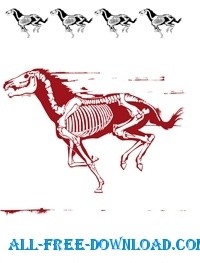 حصان صورة ظلية سكيليت الاستنسل