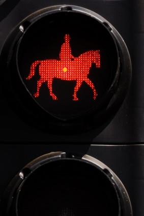 馬のトラフィック ライト