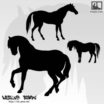 silhouettes de chevaux