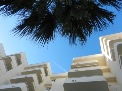 酒店複雜酒店棕櫚樹