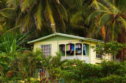 Haus in tropischen Wald