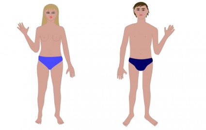 tubuh manusia pria dan wanita