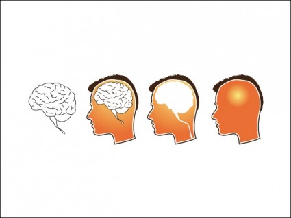 人間の脳のベクトル