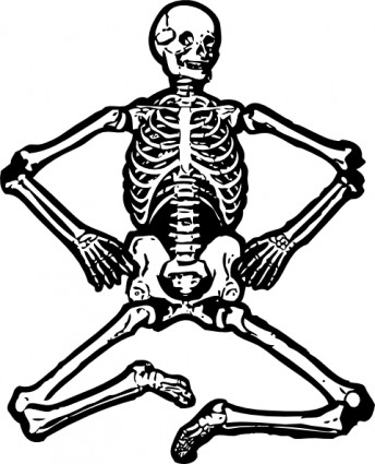 clipart squelette humain