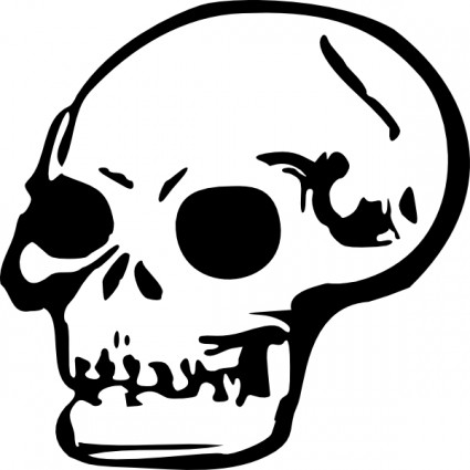 ClipArt di cranio umano