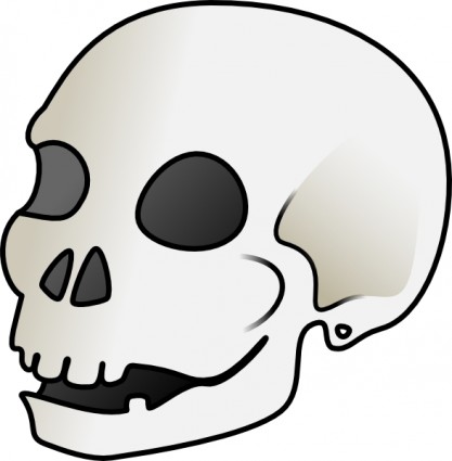clip art de cráneo humano