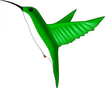Humming bird images clipart