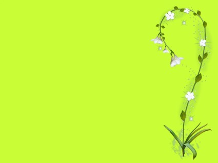 fiore di ortensia su sfondo verde
