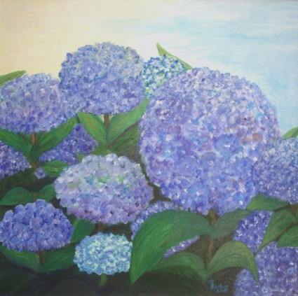 hortensias bleus peinture