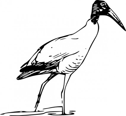 Ibis ptak spaceru w jeziorze clipart