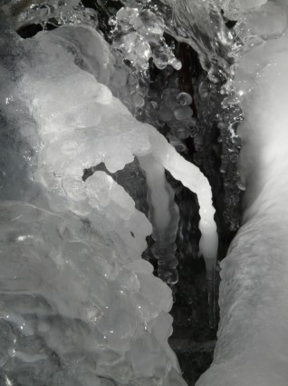 冰凍結的冰柱