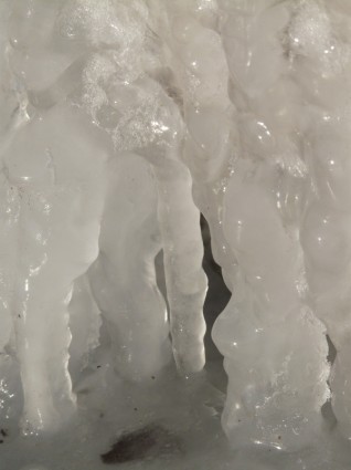 冬季凍結的冰柱