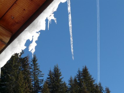 neige hiver icicle
