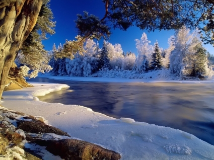 Icy River Wallpaper Winter Nature