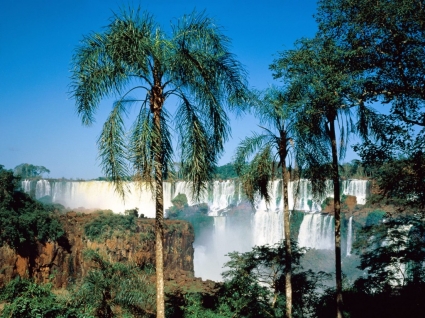 Iguassu falls argentina hình nền thác nước tự nhiên