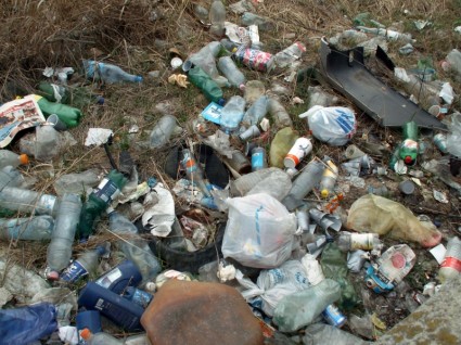 illegale Müllkippe Umweltschäden