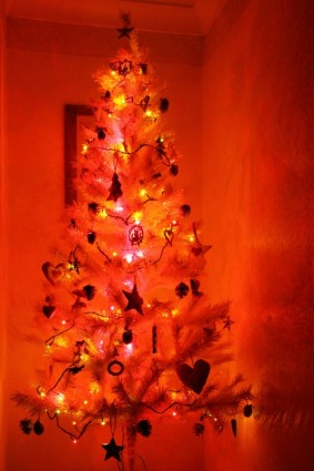 شجرة عيد الميلاد مضيئة