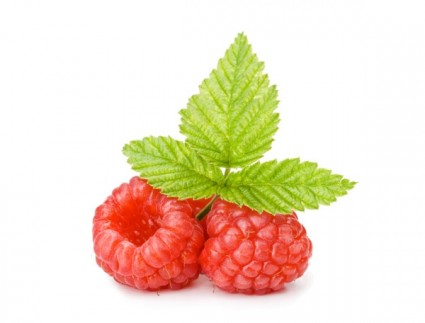 印度草莓高清图片