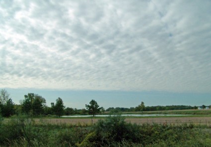 champ d'Indiana avec étang et maison