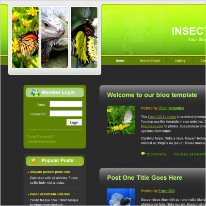 blog de insecto