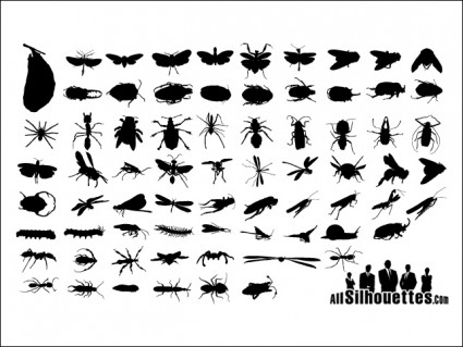 silhouettes insectes