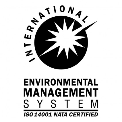 system zarządzania środowiskiem międzynarodowych