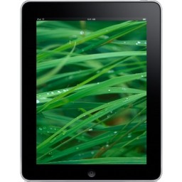 iPad depan rumput latar belakang