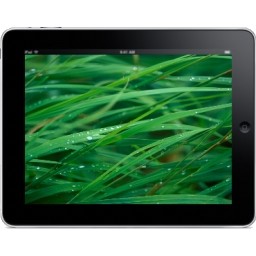 iPad fond de paysage herbe