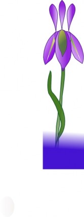clip art de iris