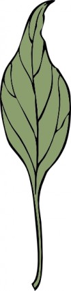 Ivy daun clip art
