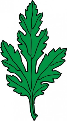 ClipArt crisantemo verde foglia di edera