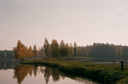 ป่า janowskie