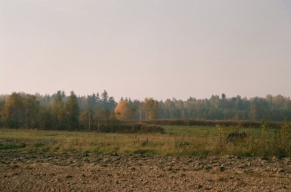 forêts janowskie