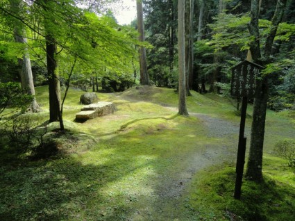 Jepang lanskap hutan