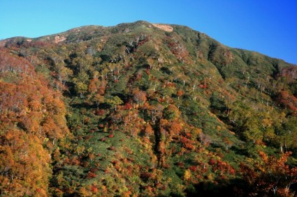Giappone paesaggio montagne