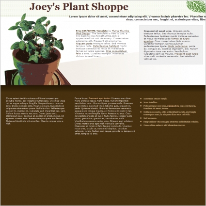 Joeys planta plantilla shoppe