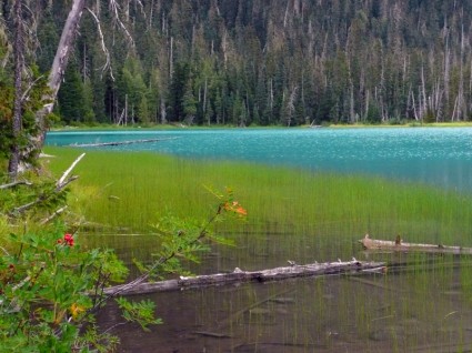 若夫尔湖不列颠哥伦比亚省加拿大