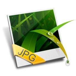 Jpeg Image