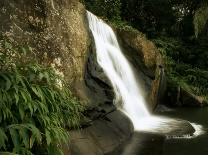 natura paesaggio di giungla cascata wallpaper