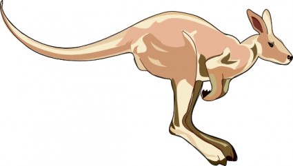 clipart kangourou