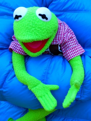 muñeca de rana Kermit
